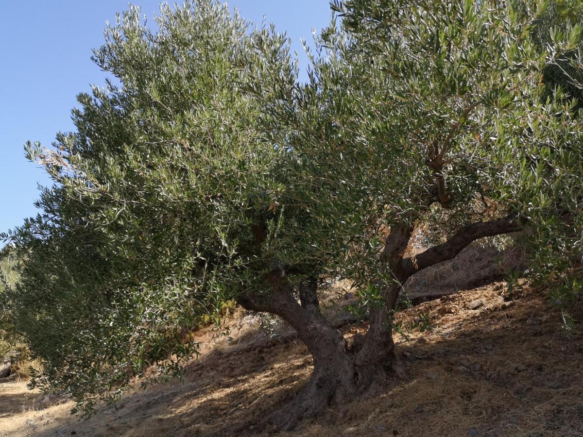 Villa Lir Tholos  ภายนอก รูปภาพ